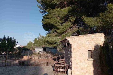 Villa i Villena, Alicante, Villena - € 425.000 | Ref: SF0473 - foto 35